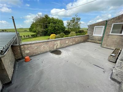 Picture 20